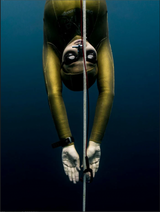 Premium men's wetsuits for freediving, spearfishing, and scuba diving.